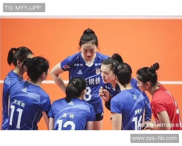 武汉排球队的运营揭秘：深度分析与发展策略探讨