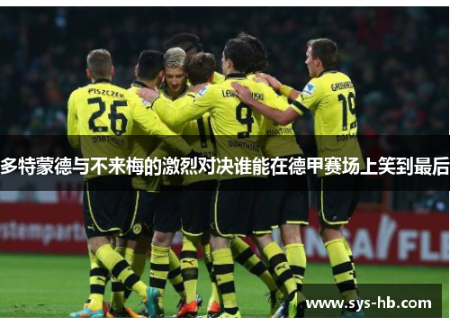 多特蒙德与不来梅的激烈对决谁能在德甲赛场上笑到最后